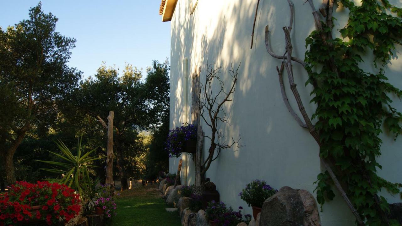 Le Sughere Padru Exterior photo