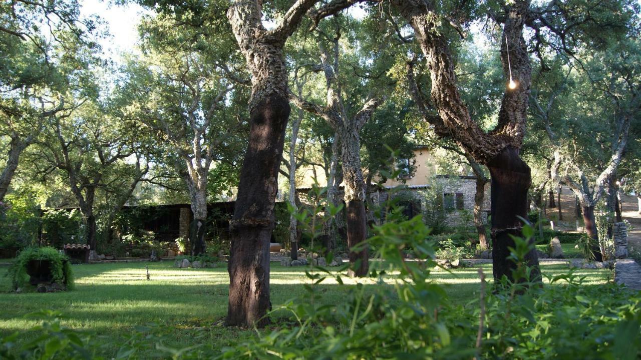 Le Sughere Padru Exterior photo
